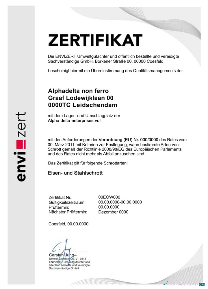 Download Germany Envizert GmbH zertifikat certificate PSD Photoshop template